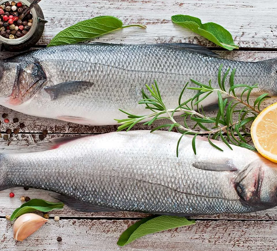 two-raw-seabass-with-spices